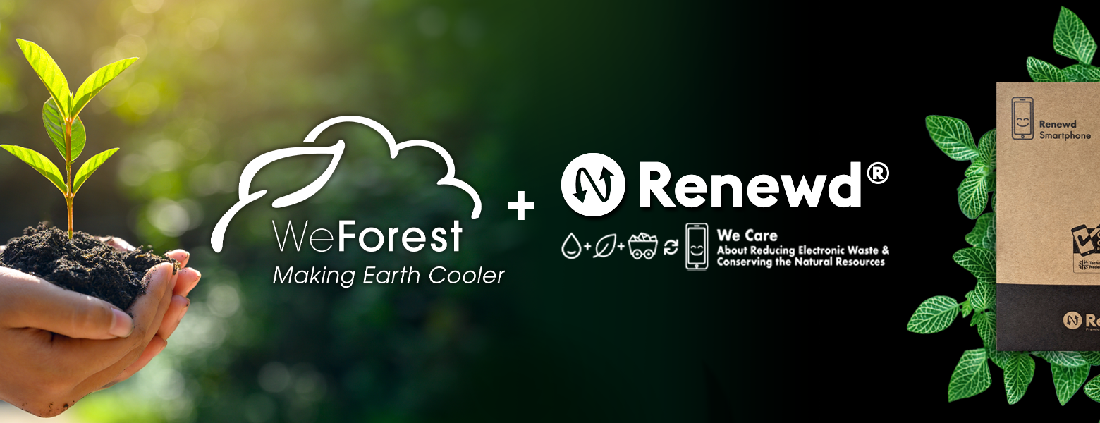 WeForest Renewd®