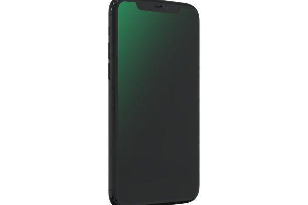 Renewd® iPhone 11 Pro Max Space Gray Version 02